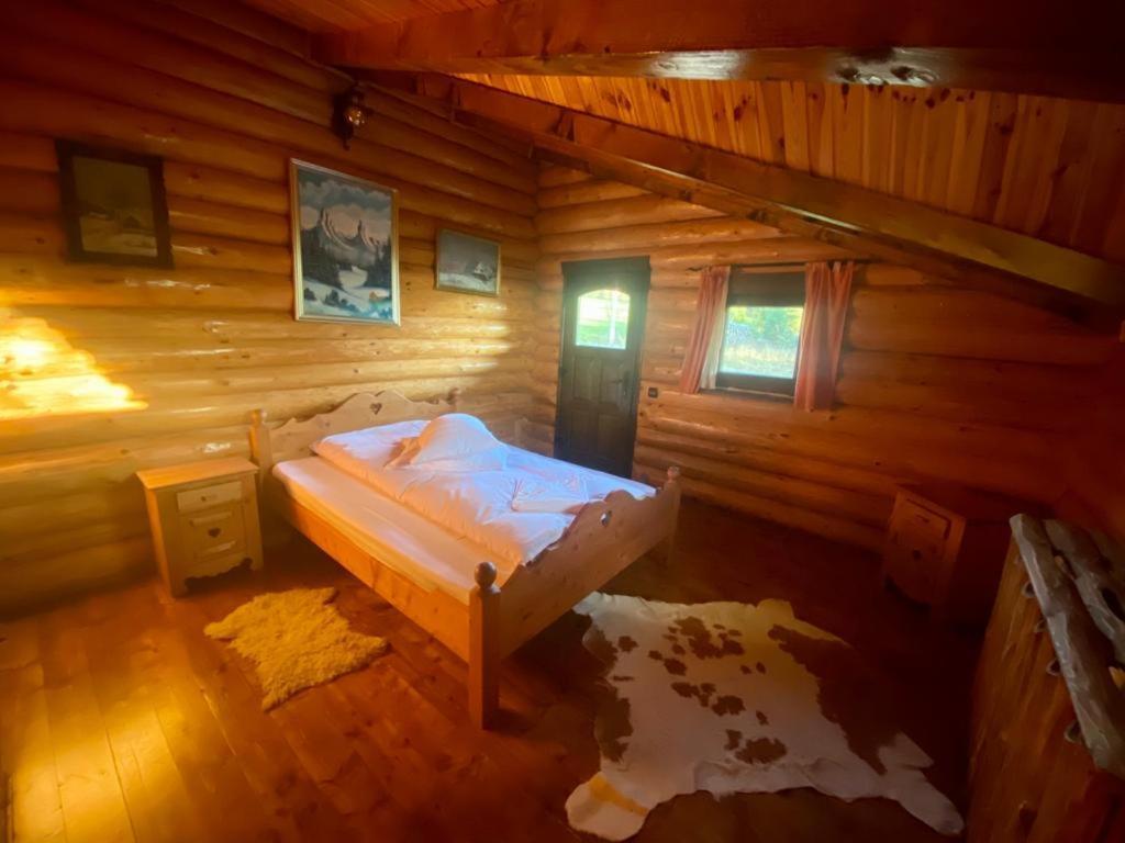 Cabana Vanatorului Ришнов Екстер'єр фото